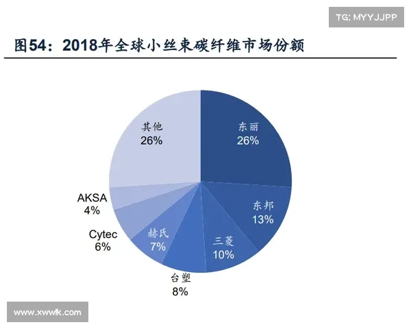 全球叶问系分支达37支 技术体系差异与演变分析报告 全球叶问系分支达37支 技术体系差异与演变分析报告